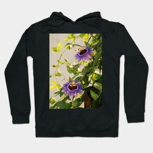 Purple Haze Passifloras Hoodie